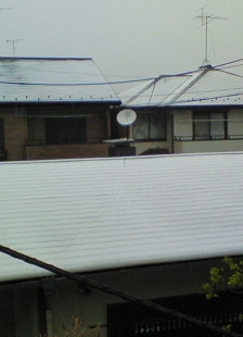 b0145863_17511862.jpg