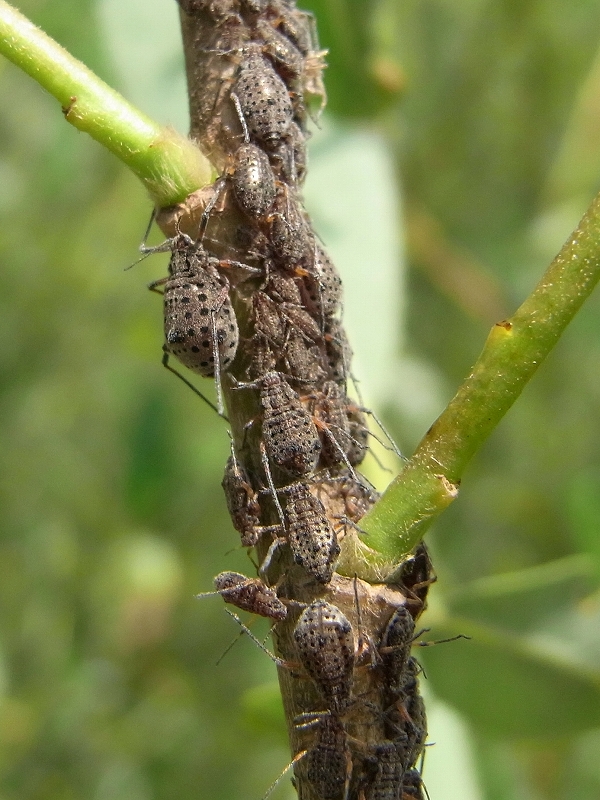 c0142963_1745120.jpg
