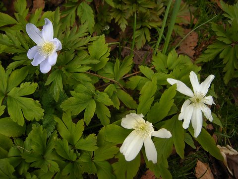 b0130166_22425050.jpg