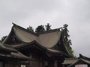 e0009666_2030928.jpg