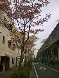 f0061067_2264311.jpg