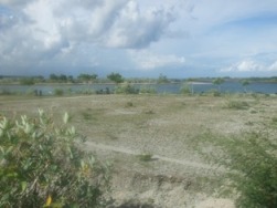 d0083068_8553271.jpg