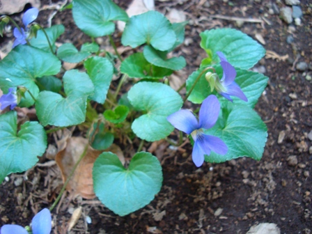 e0025872_18222548.jpg