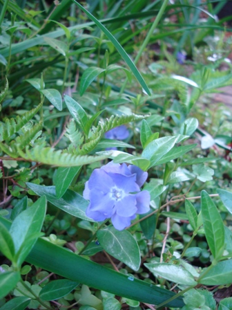 e0025872_18272992.jpg