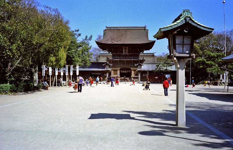 e0100772_2339025.jpg