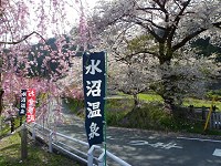 b0004675_12581828.jpg