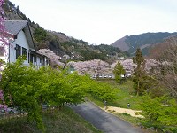 b0004675_12583269.jpg