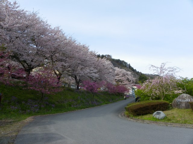 b0004675_12595579.jpg