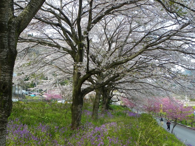 b0004675_130838.jpg