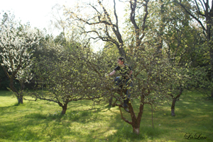 d0141376_6595284.jpg