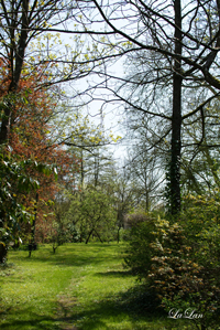 d0141376_744238.jpg