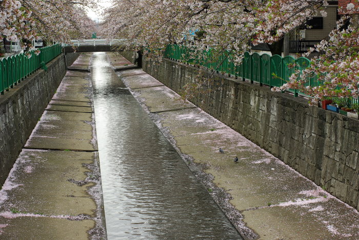 b0120979_1682440.jpg