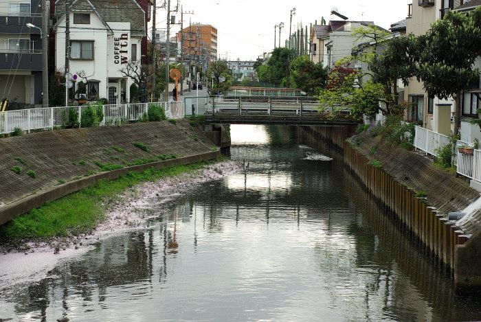 b0120979_1683257.jpg