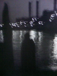 f0100480_21302664.jpg