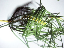 c0057781_150126.jpg