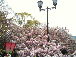 a0021482_08329.jpg