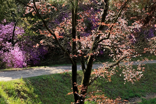 e0190885_1951512.jpg