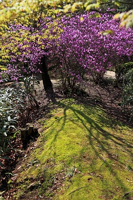 e0190885_1971670.jpg