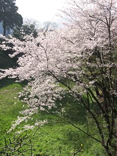 c0063587_1124440.jpg