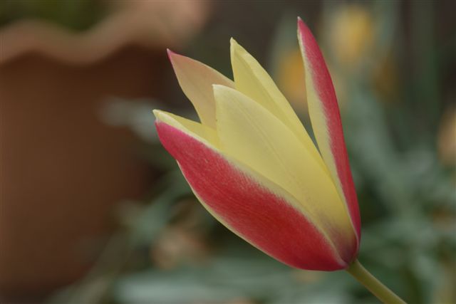 b0175688_101735.jpg