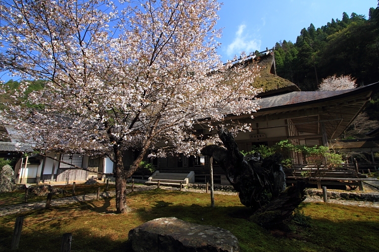 e0051888_239731.jpg