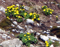 c0018489_2331125.jpg