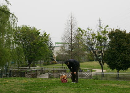 f0085889_20121559.jpg