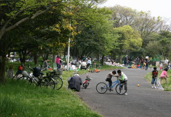 f0085889_2052095.jpg