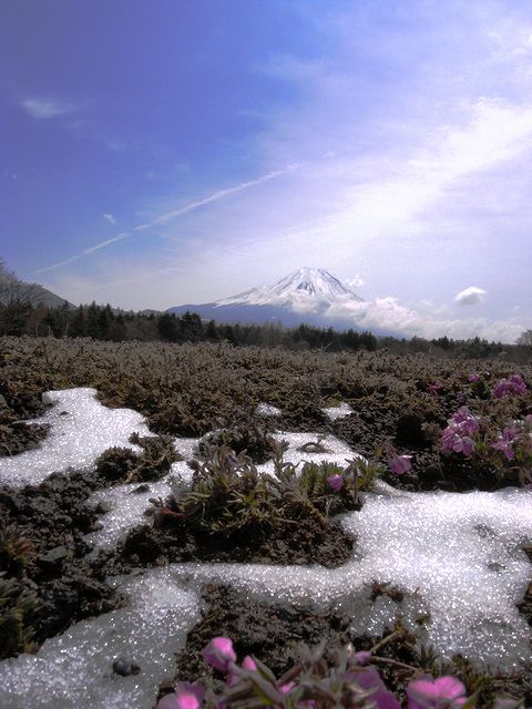 a0093592_23234674.jpg