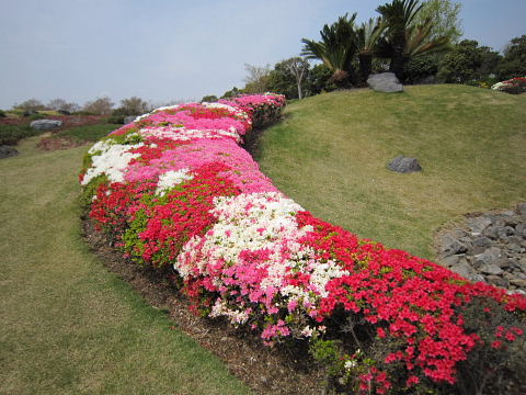 b0104592_21365657.jpg