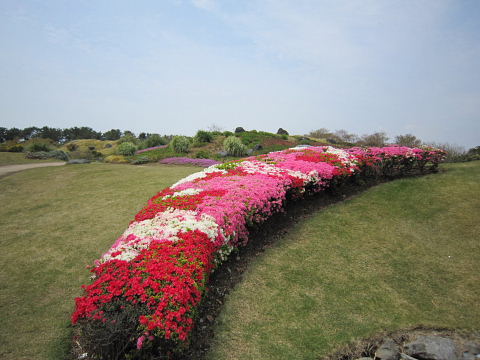 b0104592_2137539.jpg
