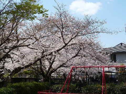 c0108693_22554361.jpg