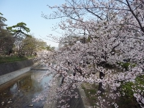 c0108693_2259506.jpg