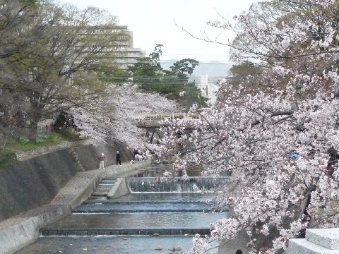 c0108693_2314095.jpg