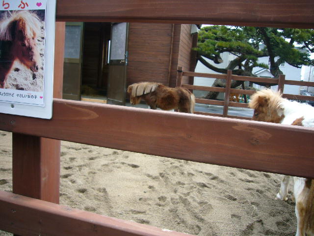 d0015096_1435670.jpg