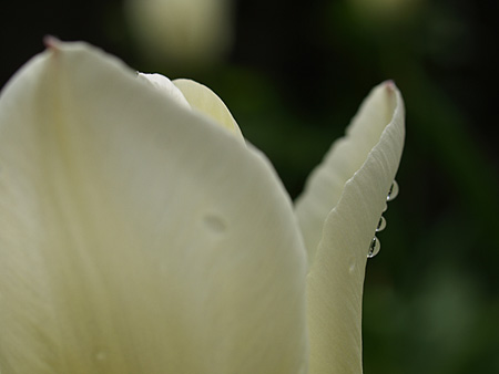 a0041508_17381434.jpg