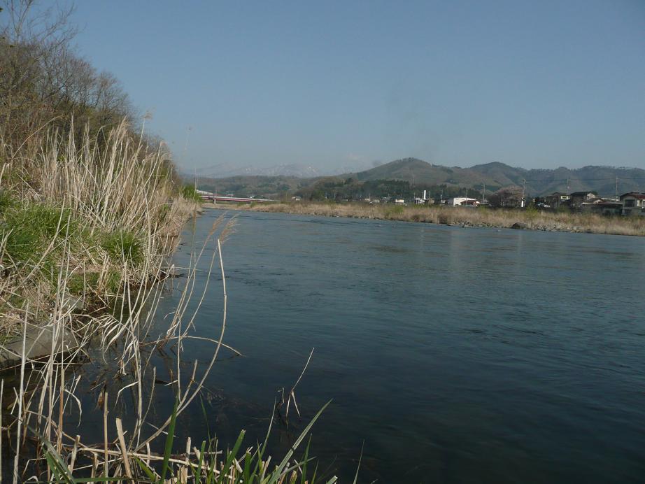d0126708_1605418.jpg