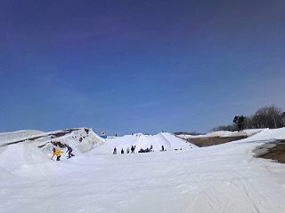 e0000408_2339961.jpg