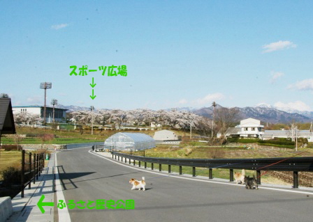 e0078510_233763.jpg