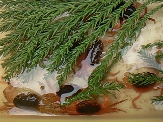 c0164514_21572245.jpg