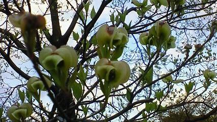 c0097620_1858459.jpg