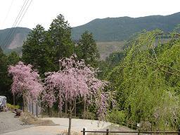 f0000521_829565.jpg