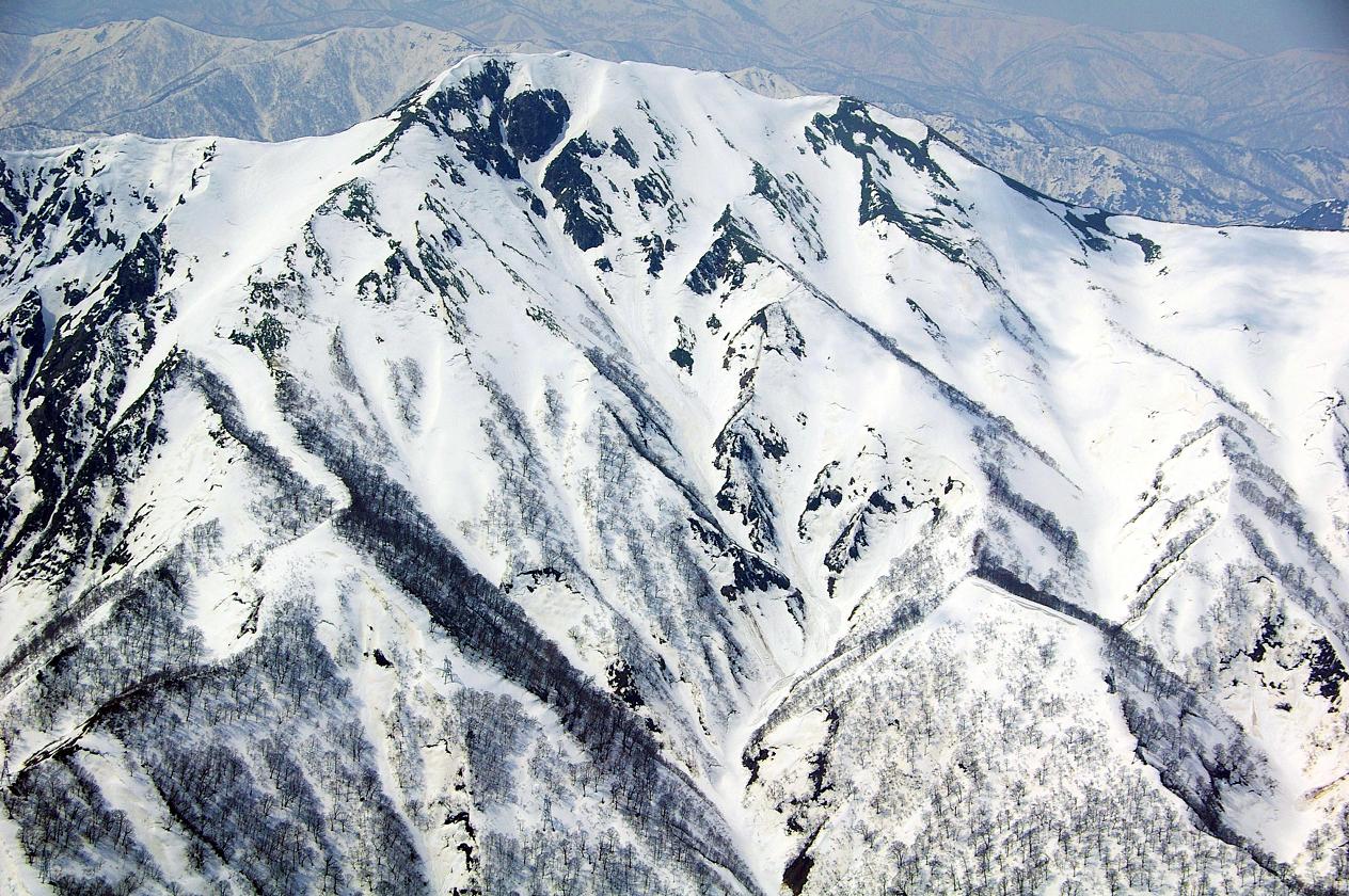 b0062024_80378.jpg