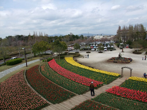 f0147025_1735948.jpg
