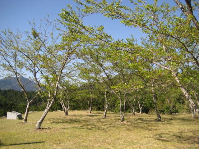 d0147727_1922414.jpg