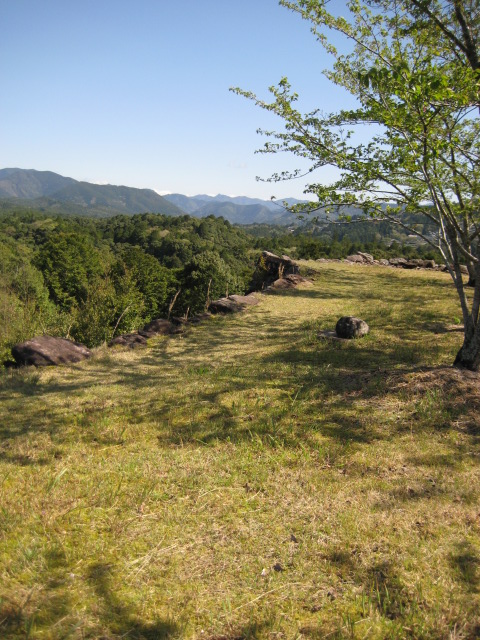 d0147727_1925573.jpg