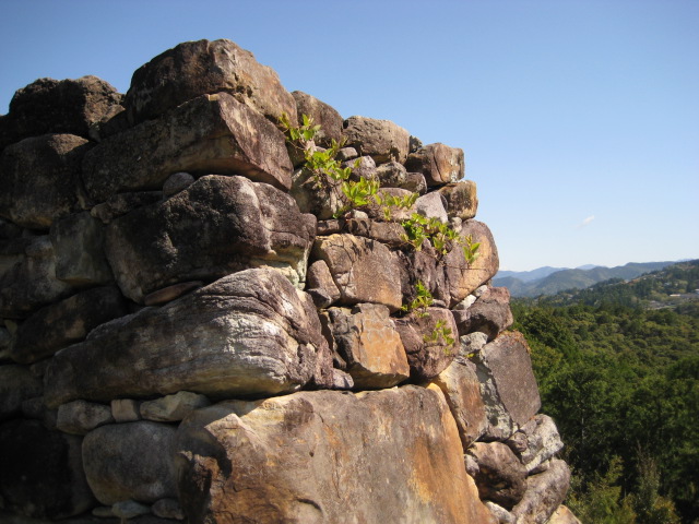 d0147727_1931636.jpg