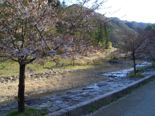 a0099129_12354124.jpg