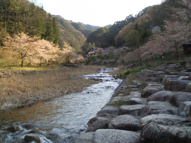 a0099129_12364100.jpg