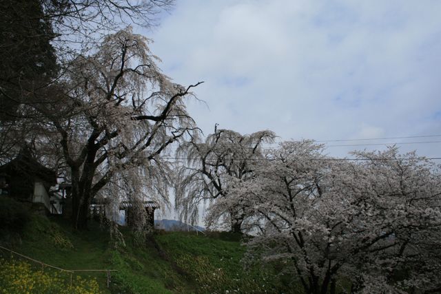 f0039538_20355264.jpg
